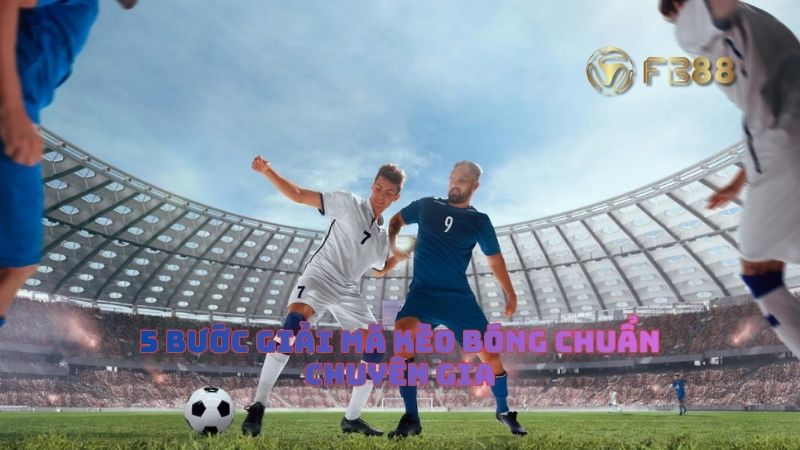 Quy trình 5 bước giải mã kèo bóng chuẩn chuyên gia