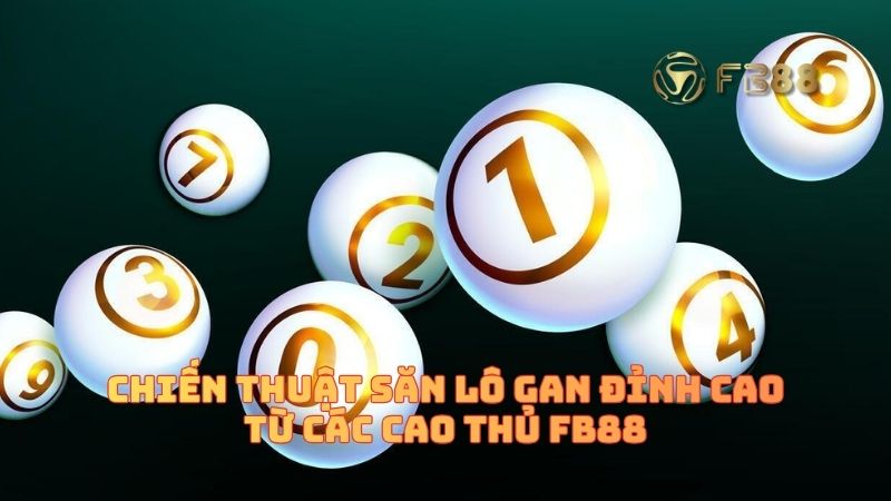 Chiến thuật "săn lô gan" đỉnh cao từ các cao thủ fb88